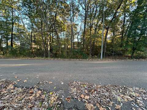 4247 Bienville Road, Nesbit, MS 38651