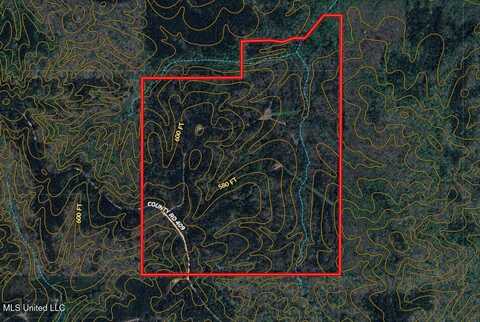 409 Country Road, Falkner, MS 38629