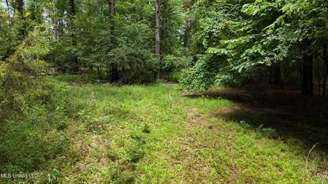 Stout Meadows Lane, Madison, MS 39110