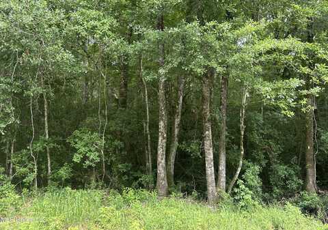 22290 Old Hwy 49, Saucier, MS 39574