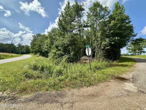 66 Pete Freeman Road Road, Decatur, MS 39327
