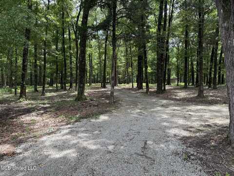 190 Sanctuary Circle, Canton, MS 39046