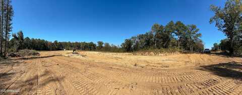Lot A E Highway 16, Canton, MS 39046