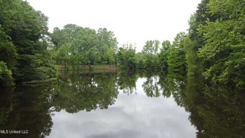 2065 Prichard Road, Coldwater, MS 38618