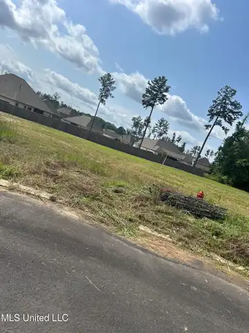 669 Bearing Way, Brandon, MS 39047