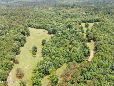 0 Tanner Drive, Hickory Flat, MS 38633
