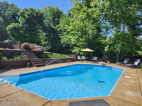 2948 Grove Meadows Drive, Nesbit, MS 38651