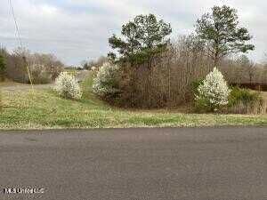 334 W Byhailia Creek Farm Road, Byhalia, MS 38611