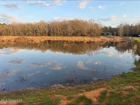 2759 County Road 2759, Sallis, MS 39160