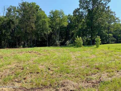 Mt Pleasant Road, Byhalia, MS 38611
