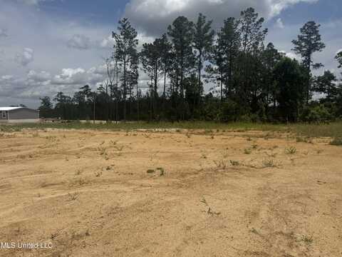 Wire Road, Pelahatchie, MS 39145