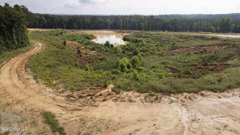 Wire Road, Pelahatchie, MS 39145