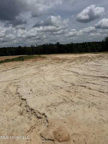 Wire Road, Pelahatchie, MS 39145