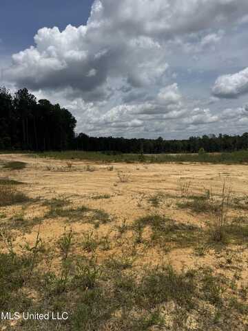 Wire Road, Pelahatchie, MS 39145