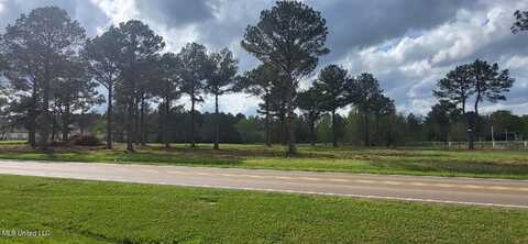 Bozeman Road, Madison, MS 39110