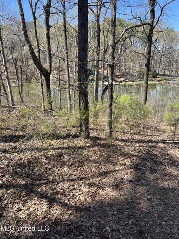 12 Boka Cove, Hernando, MS 38632