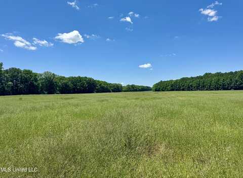0005 Johnson Line Road, Bolton, MS 39041