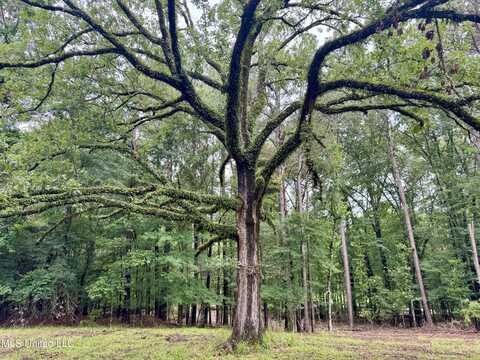 493 Gus Green Road, Flora, MS 39071