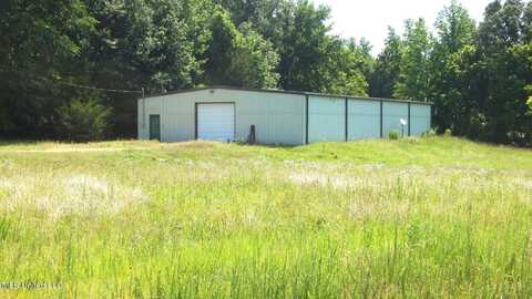 2450 Longtown Road, Sarah, MS 38665
