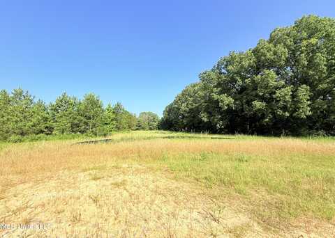 Stout Meadows Lane, Madison, MS 39110