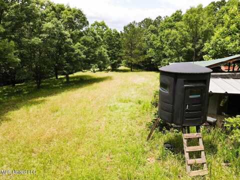 Tbd Pepper Town Rd, Eupora, MS 39744