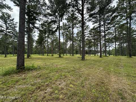 Hidden Pines Lane, Flora, MS 39071