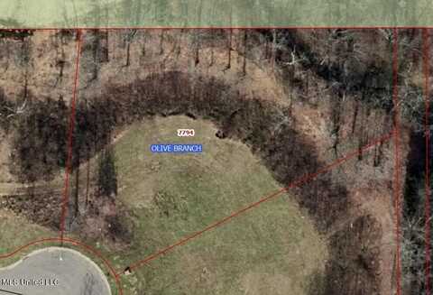 7794 Rowlett Drive, Olive Branch, MS 38654