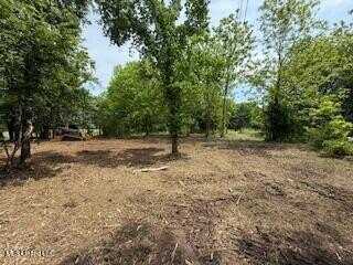 Red Banks Road, Holly Springs, MS 38635
