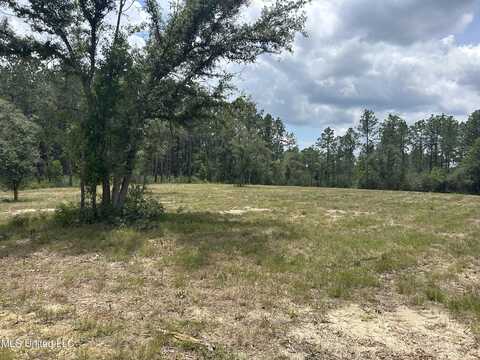 01 Hwy 603 Highway, Kiln, MS 39556