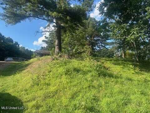196 Pleasant Hill Road, Nesbit, MS 38651