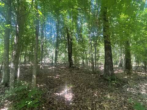 Coal Road Loop, Crofton, KY 42217