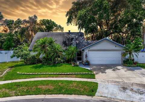 7111 LAWNVIEW CT, TAMPA, FL 33615