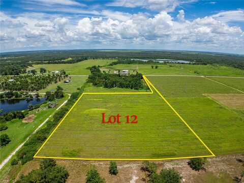 LOT 12, 0 OLD BOWLING GREEN RD, FORT MEADE, FL 33841
