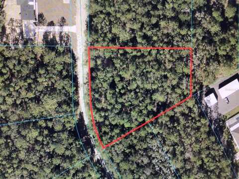 0 SW 133 COURT, OCALA, FL 34481