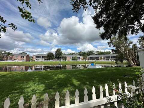 13709 JUNIPER BLOSSOM DRIVE, TAMPA, FL 33618