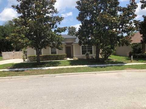 2555 PALMETTO RIDGE CIRCLE, APOPKA, FL 32712