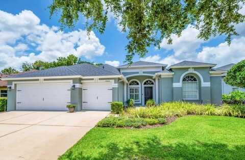 15309 PALOMAPARK LANE, LITHIA, FL 33547