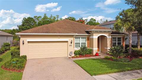 19418 BUTTERWOOD LANE, LUTZ, FL 33558