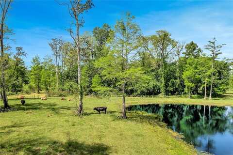 Tbd CORKWOOD LANE, ASTATULA, FL 34705