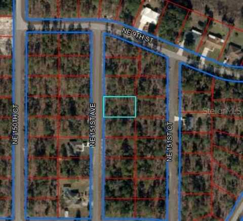 NE 151ST AVENUE, WILLISTON, FL 32696