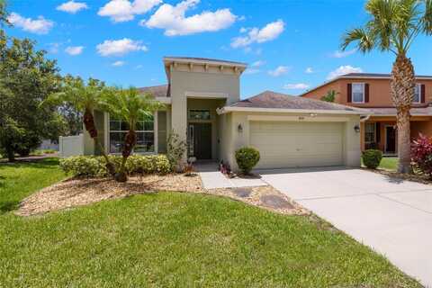 8709 DEEP MAPLE DRIVE, RIVERVIEW, FL 33578