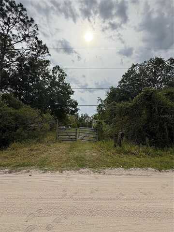 2060 HAZELNUT STREET, BUNNELL, FL 32110