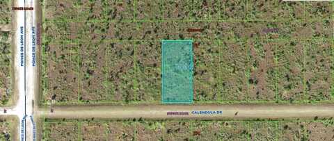 316 CALENDULA DRIVE, INDIAN LAKE ESTATES, FL 33855