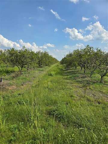 NE HIGHWAY 70, ARCADIA, FL 34266
