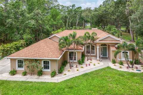 33943 E LAKE JOANNA DRIVE, EUSTIS, FL 32736