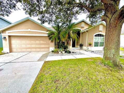 10325 SANDY MARSH LANE, ORLANDO, FL 32832