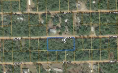 25 NE 238TH PLACE, FORT MC COY, FL 32134