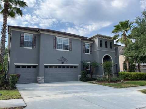 10531 MISTFLOWER LANE, TAMPA, FL 33647