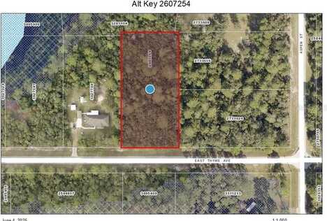 Lot 9 E THYME AVENUE, EUSTIS, FL 32736
