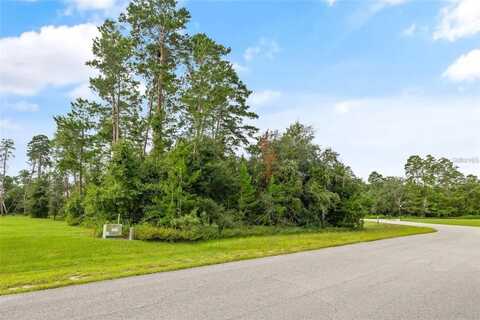 13615 GOPHER POND CT, HUDSON, FL 34669
